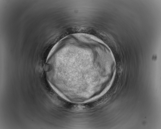 X0000101710607200808071225