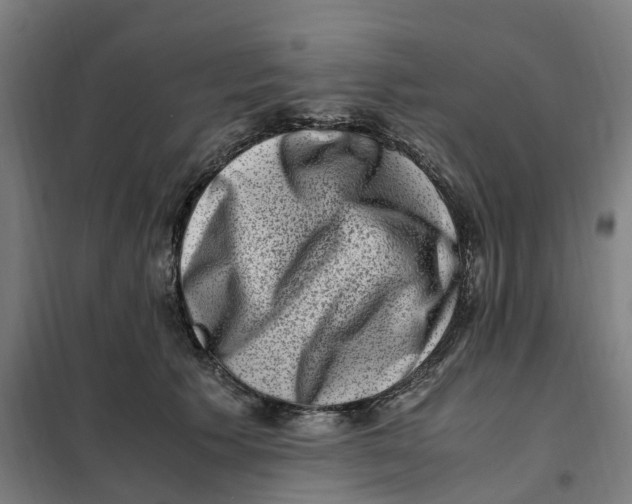 X0000101710609200808071225