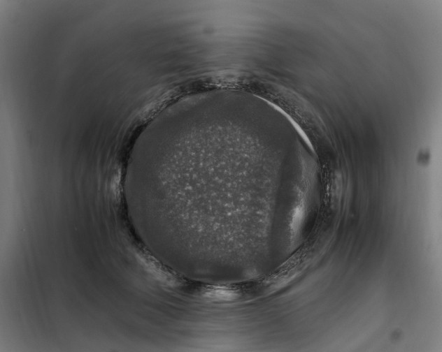X0000101710610200808071225