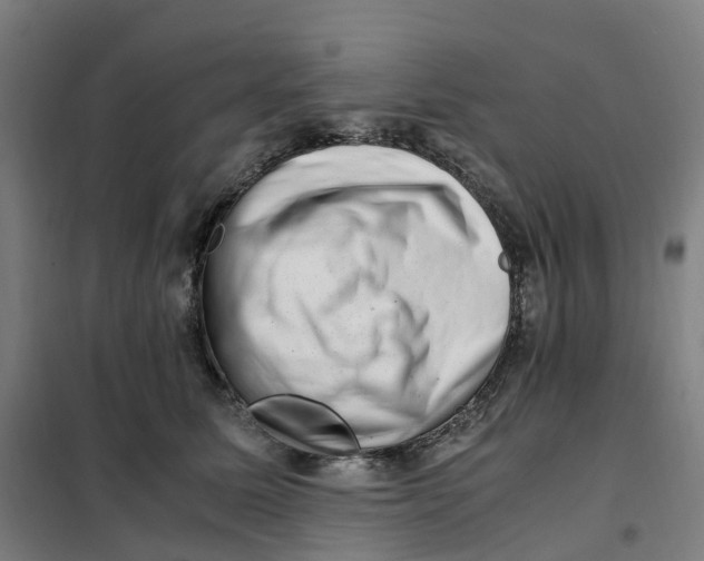 X0000101710611200808071225