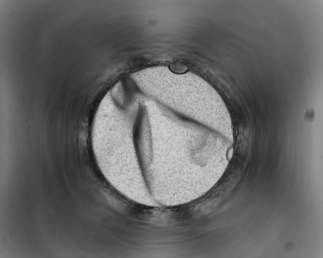 X0000101710612200808071225