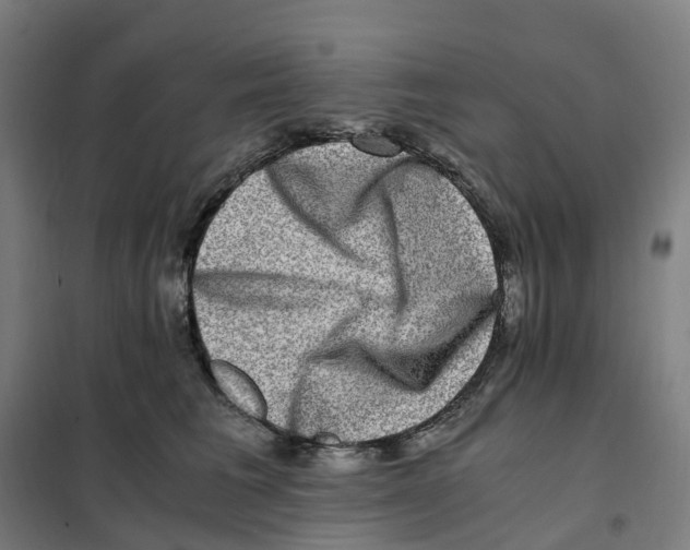 X0000101710613200808071224