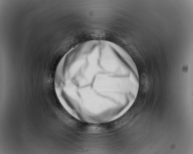 X0000101710614200808071224
