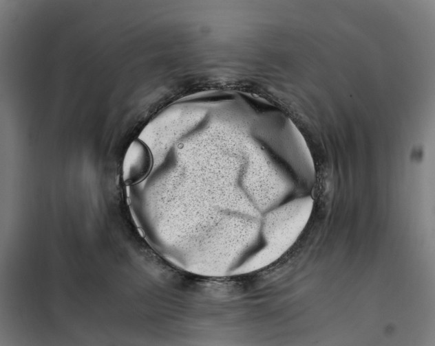X0000101710615200808071224