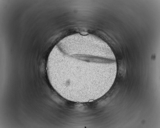 X0000101710616200808071224