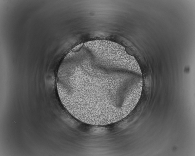 X0000101710617200808071224
