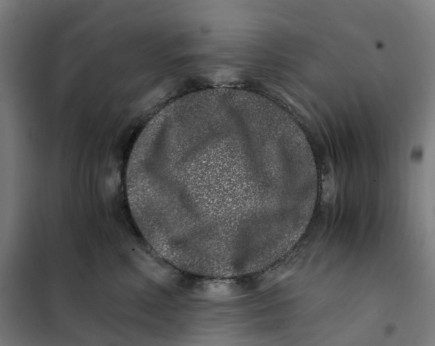 X0000101710618200808071224