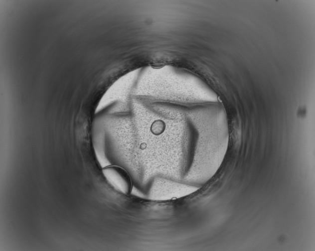 X0000101710619200808071224