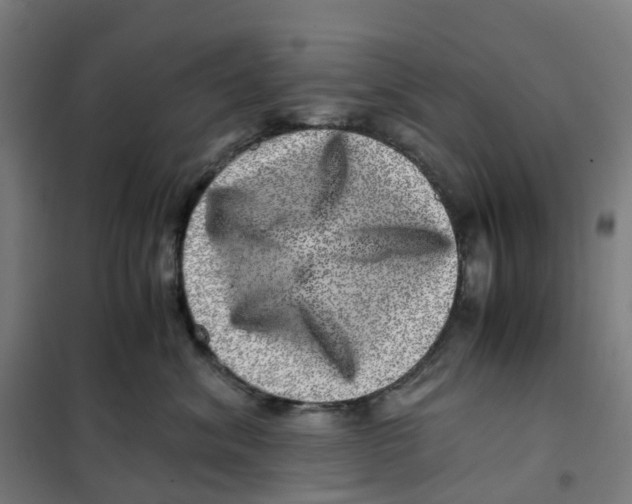 X0000101710620200808071224