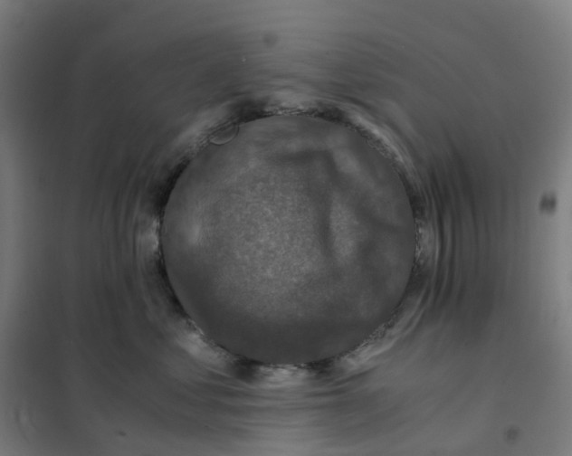 X0000101710621200808071224