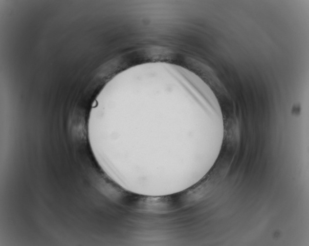 X0000101710622200808071224