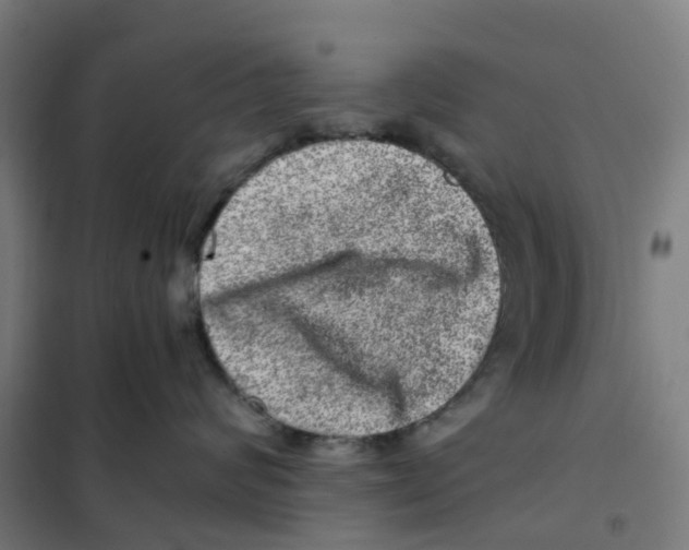 X0000101710624200808071224