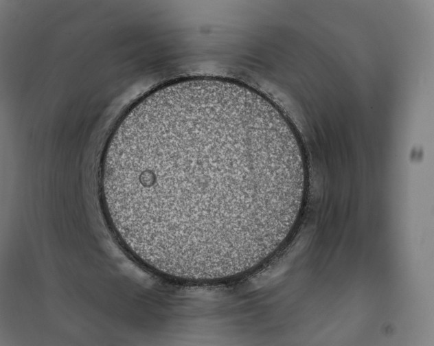 X0000101710625200808071224