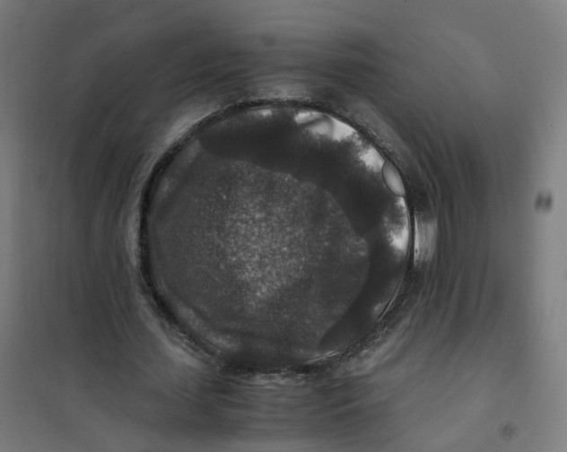 X0000101710627200808071224