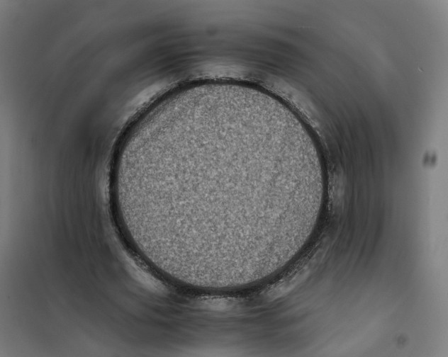 X0000101710629200808071224