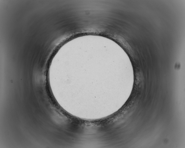 X0000101710632200808071224