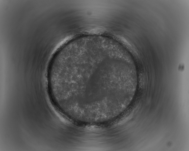 X0000101710634200808071224