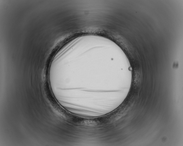 X0000101710636200808071224