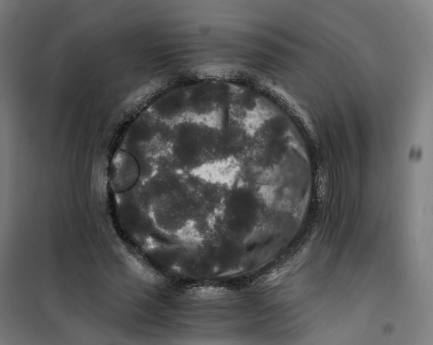 X0000101710637200808071224