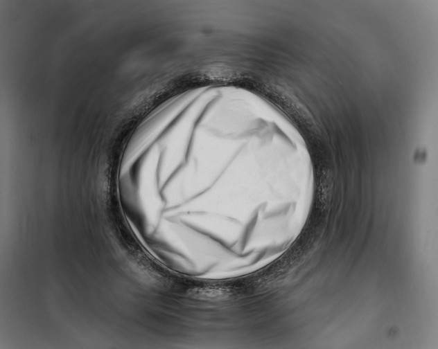 X0000101710639200808071224