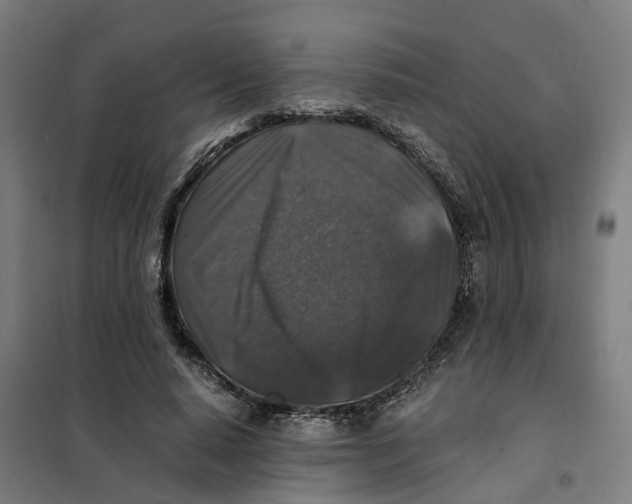 X0000101710640200808071224
