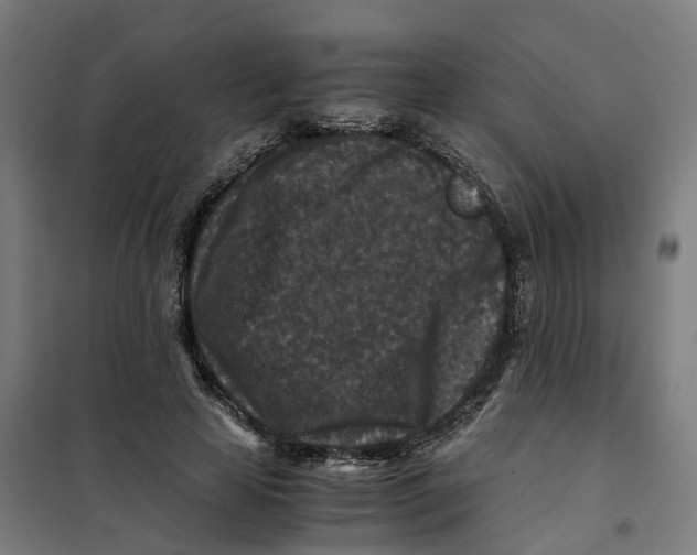 X0000101710641200808071224