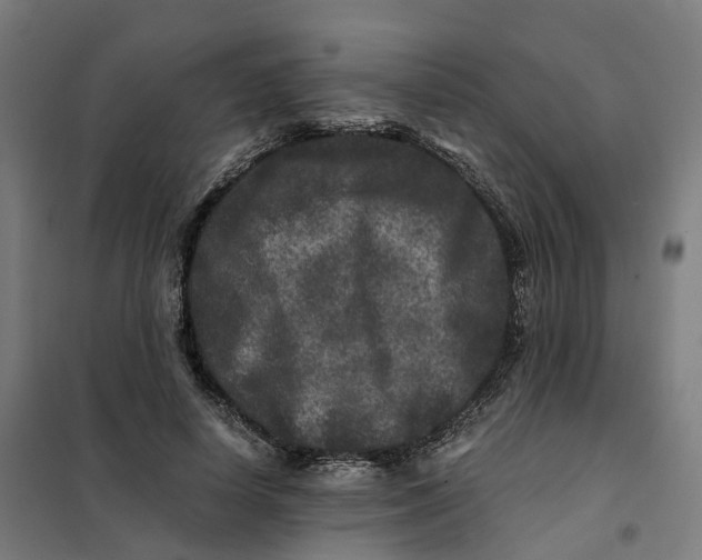 X0000101710642200808071224