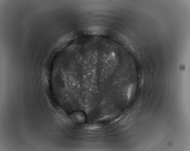 X0000101710643200808071224