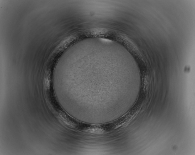 X0000101710644200808071224