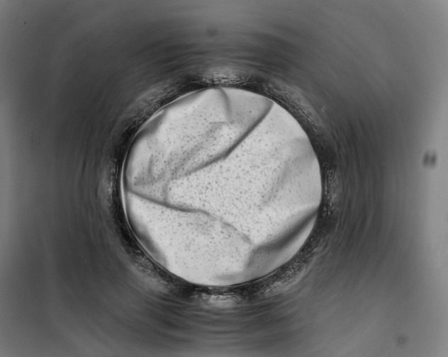 X0000101710645200808071224