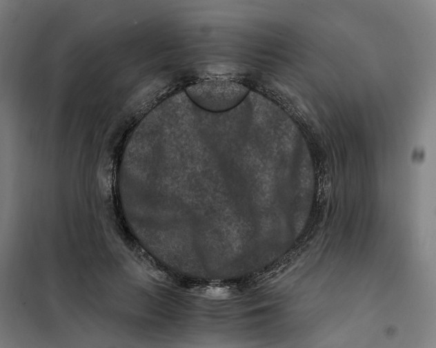 X0000101710647200808071224