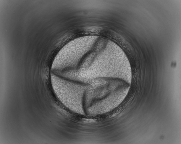 X0000101710649200808071224