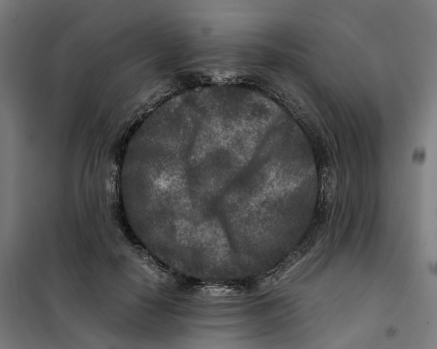 X0000101710650200808071224
