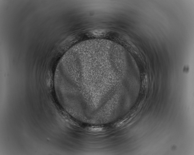 X0000101710651200808071224