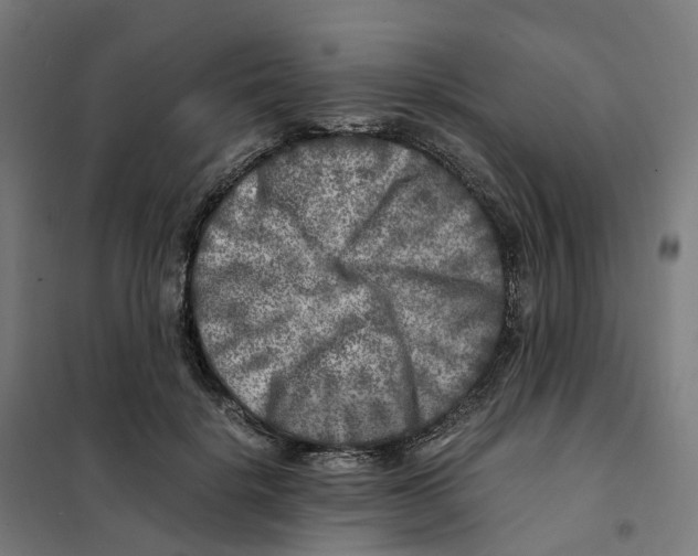 X0000101710652200808071224