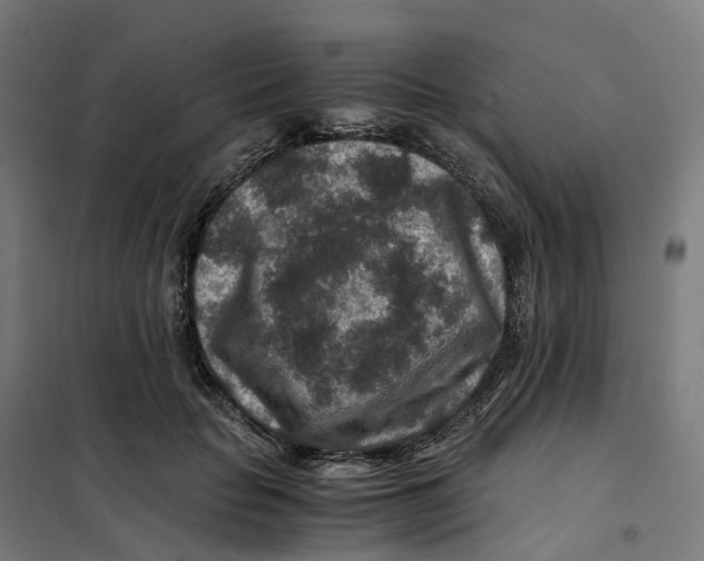 X0000101710653200808071224