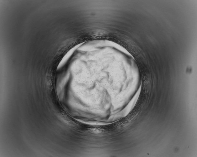 X0000101710654200808071224