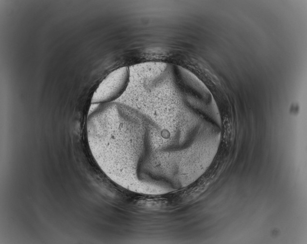 X0000101710655200808071224