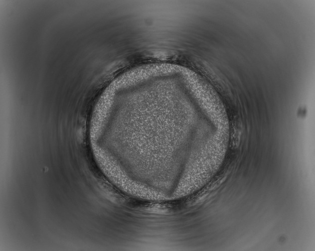 X0000101710656200808071224