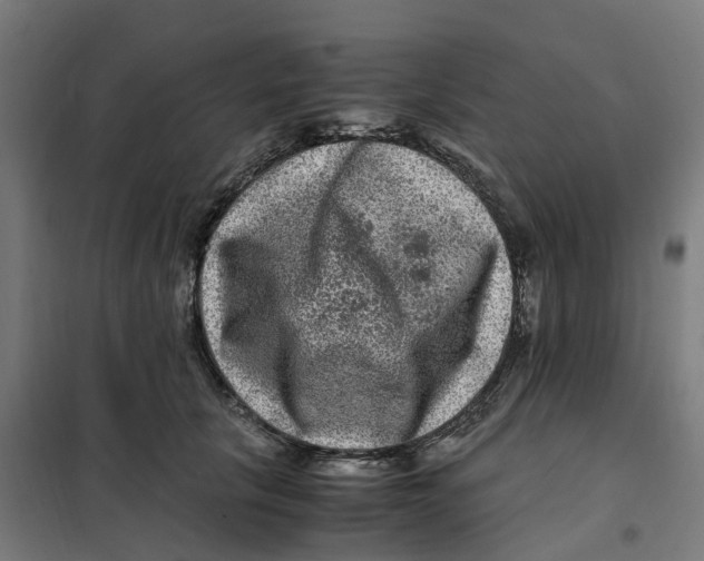 X0000101710657200808071224