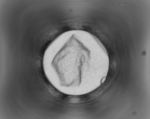 X0000101710658200808071224