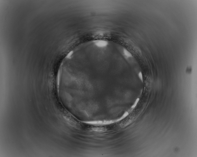 X0000101710659200808071224