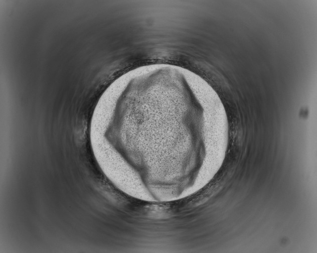 X0000101710660200808071224