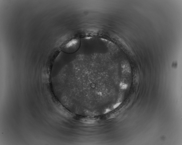 X0000101710661200808071224