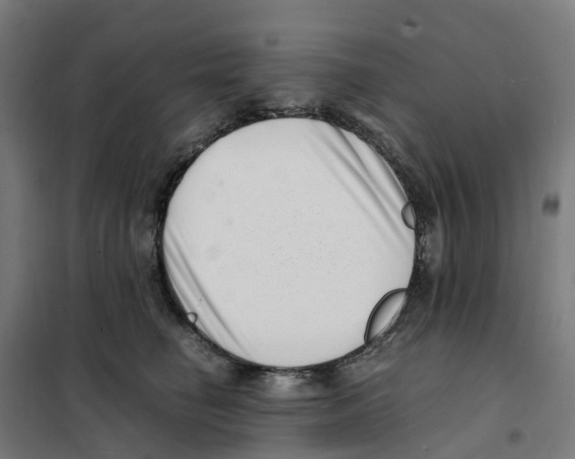 X0000101710662200808071224