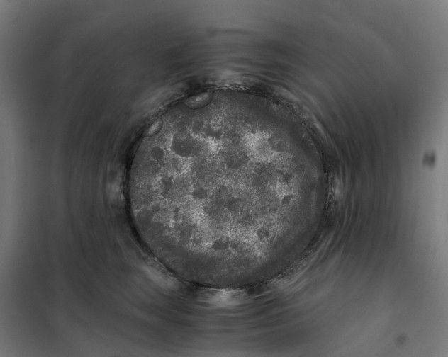 X0000101710663200808071224