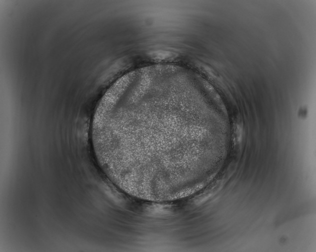 X0000101710664200808071224