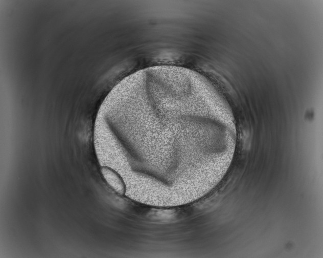 X0000101710665200808071224
