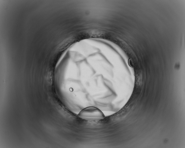 X0000101710666200808071224