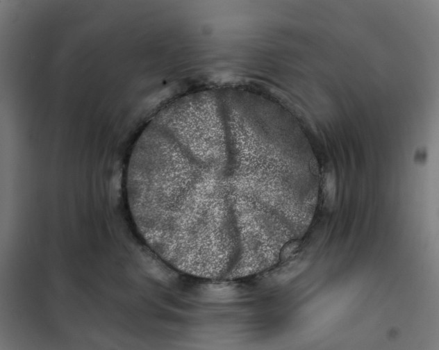 X0000101710668200808071224